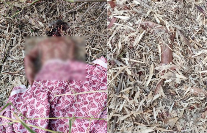 leopard-attack-gadbori-fore