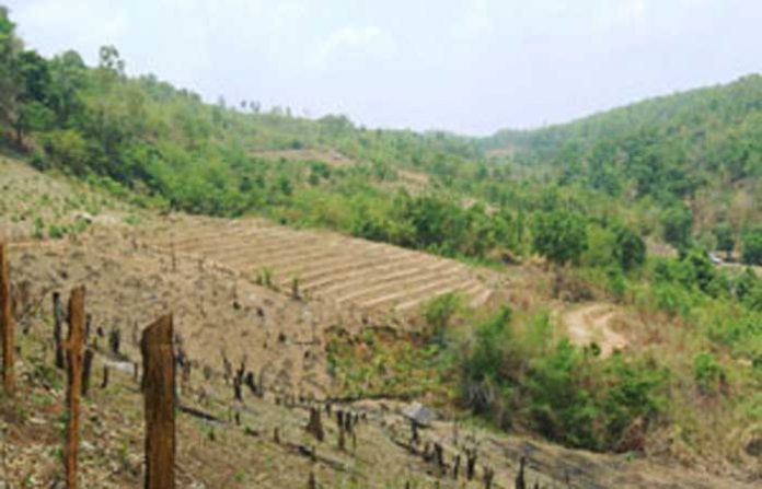 bhandara-jungle
