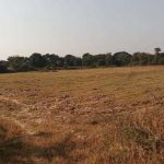 land-for-sub-station-1