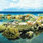 great-barrier-reef-australi