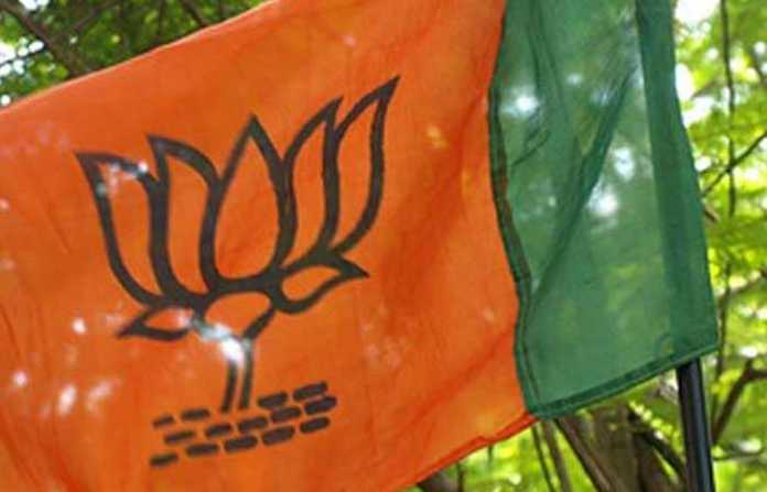 bjp-flag