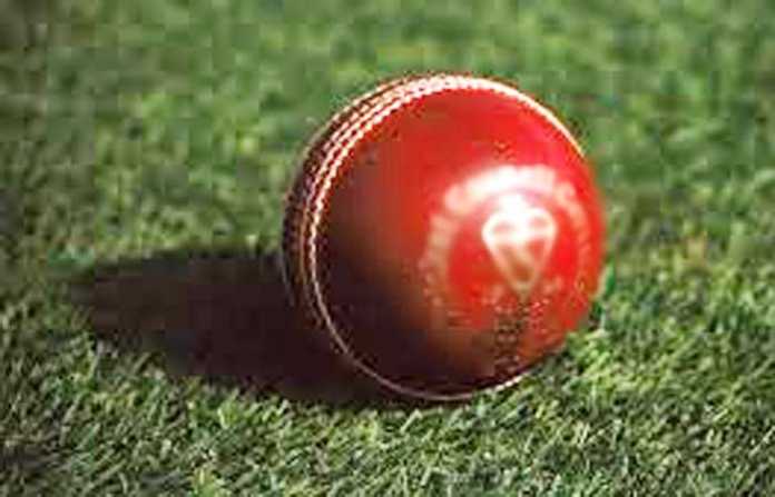cricket-ball
