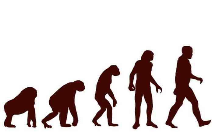 human
