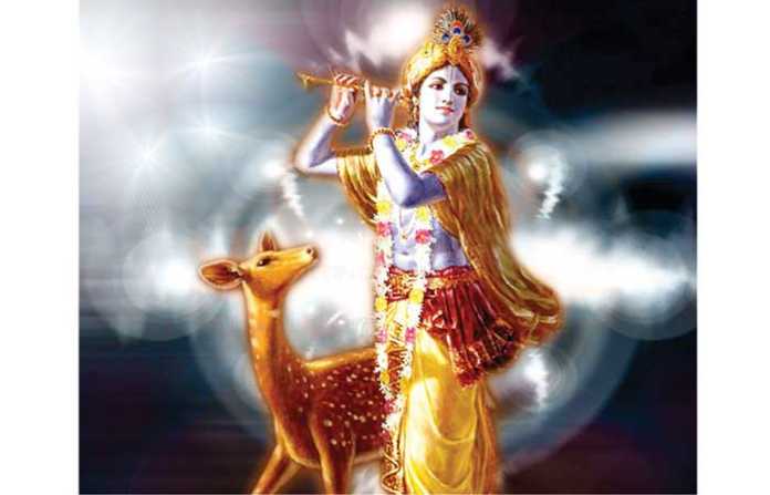 krishna