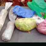 नागपूरमध्ये आरएसएस मुख्यालयापासून थोड्याच अंतरावर स्फोटके सापडली; जिलेटिनच्या कांड्या, डेटोनेटर्स आणि कनेक्टर्स जप्त, शहरात हाय अलर्ट जारी