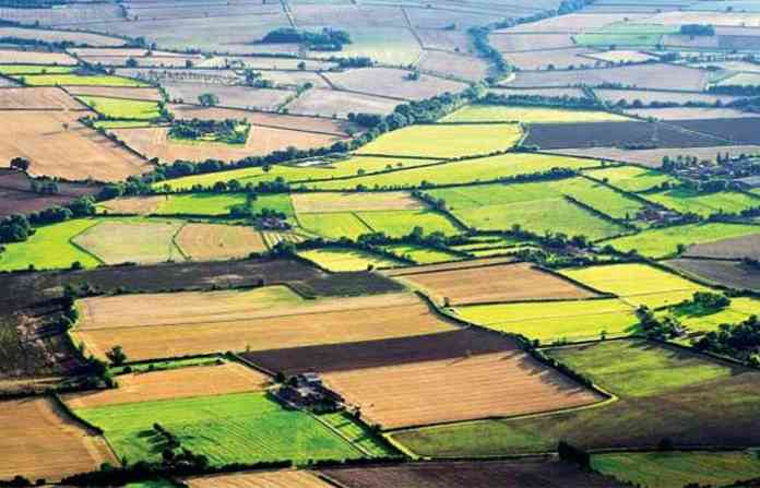 land