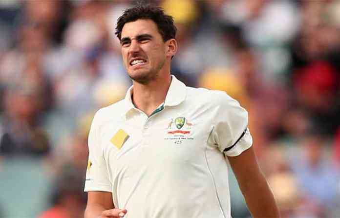 michel-starc