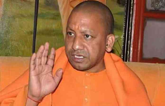 yogi-on