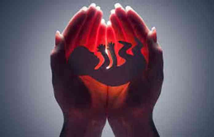 abortion