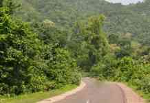 पुन्हा झाडांवर कुऱ्हाड, नाशिक–अहिल्यानगर एक्सप्रेसवेसाठी महाराष्ट्रातील 82 हेक्टर वनजमीन जाणार; केंद्राची मंजुरी