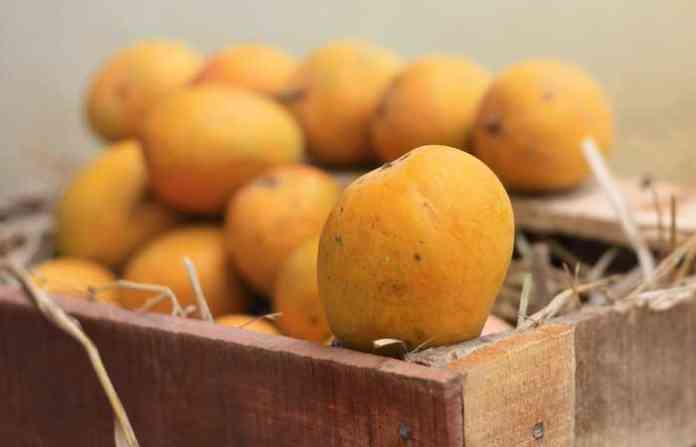 mango