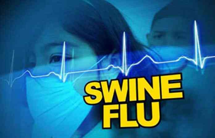 swine-flu
