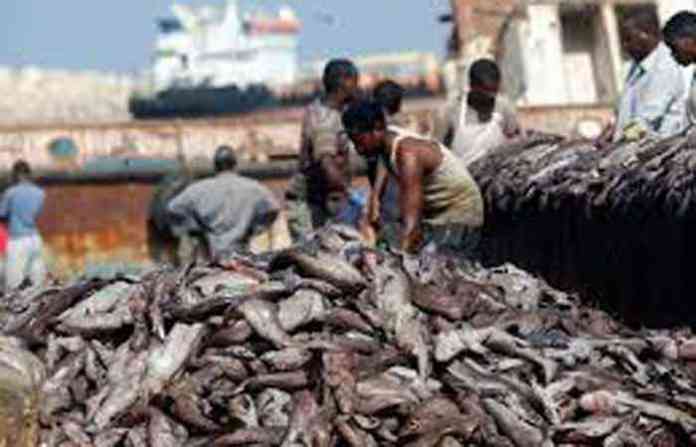 fishermen-1