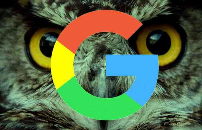 google_owl