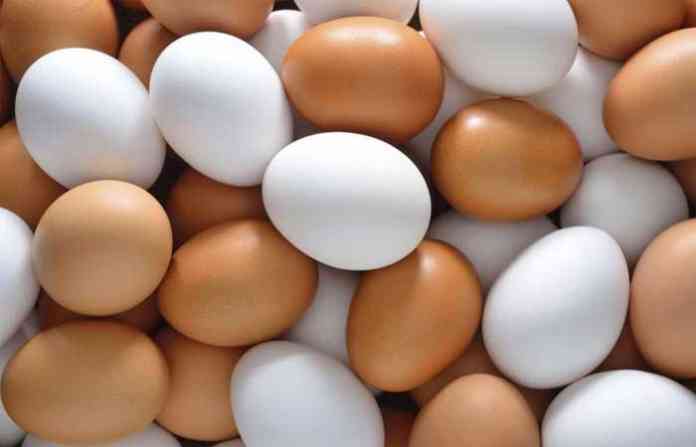 plastic-eggs