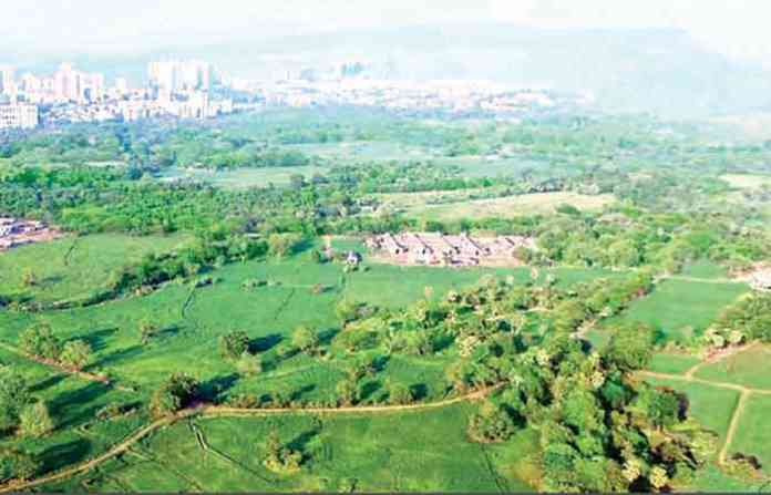 aarey_colony-1