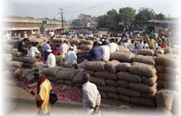 bazar-samiti