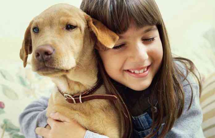 human-animals-are-friend