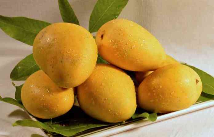 mango