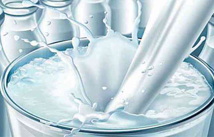 milk
