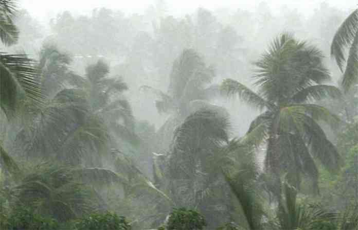 kokan-rain