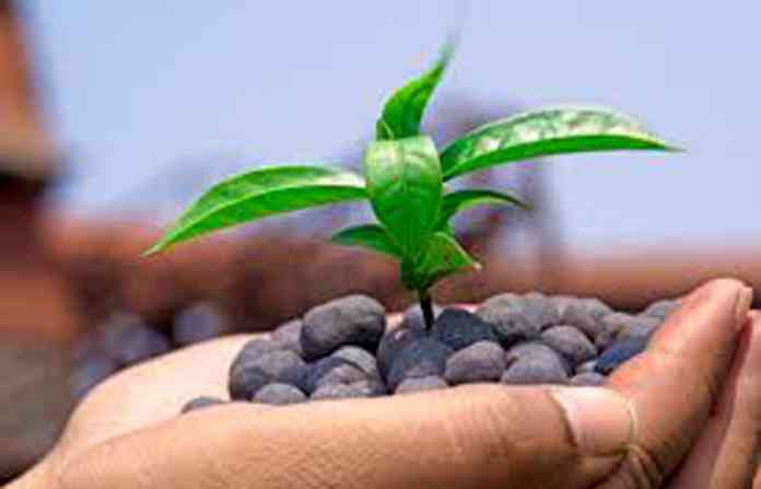 world-environment-day-2