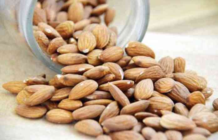 badam_almond