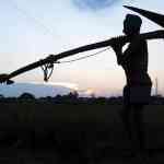 farmer