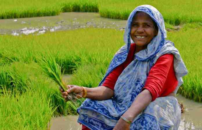 farmer-beblewadi