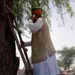 minister-climb-on-tree