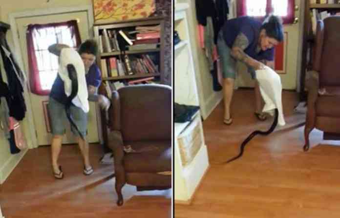 women-caught-snak-in-pillow