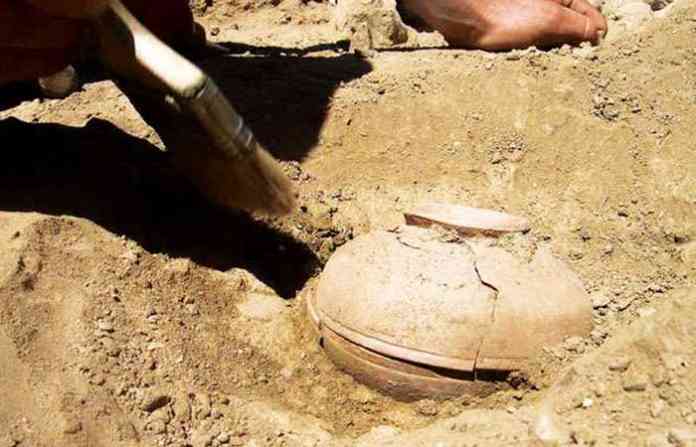 800-year-old-squash-dig