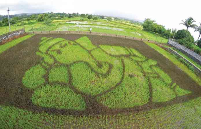 paddy-art-ganesha