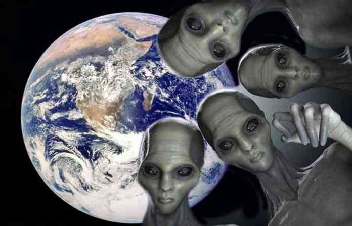 alience