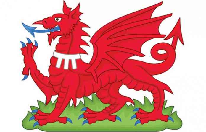 dragon1