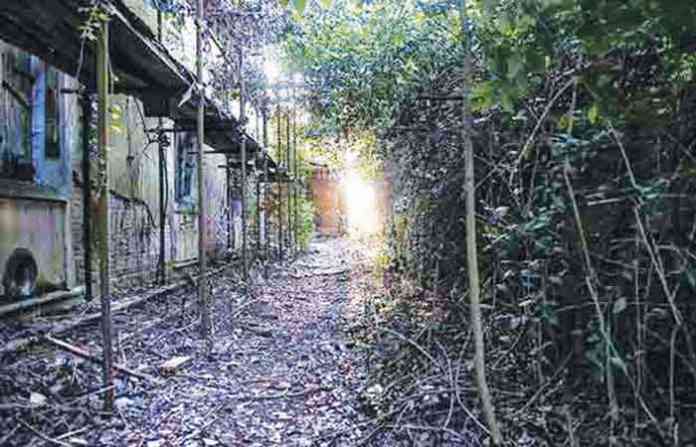 poveglia