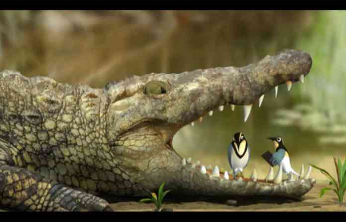 crocodile