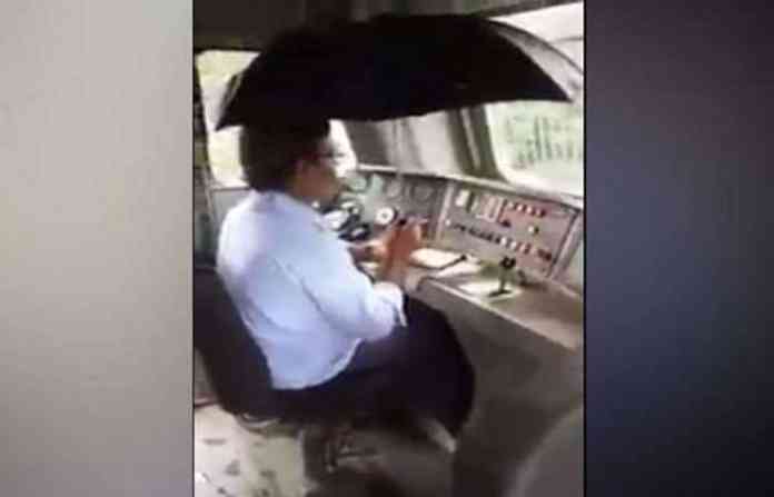 driver-with-umbrella