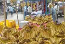 मध्यपूर्वेतील संघर्षाचा जळगावच्या शेतकऱ्यांना फटका, केळीचे दर कोसळले