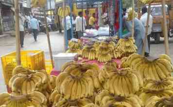 इराण-इस्रायल संघर्षाचा जळगावच्या शेतकऱ्यांना फटका, केळीचे दर कोसळले