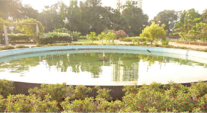 baptista-garden
