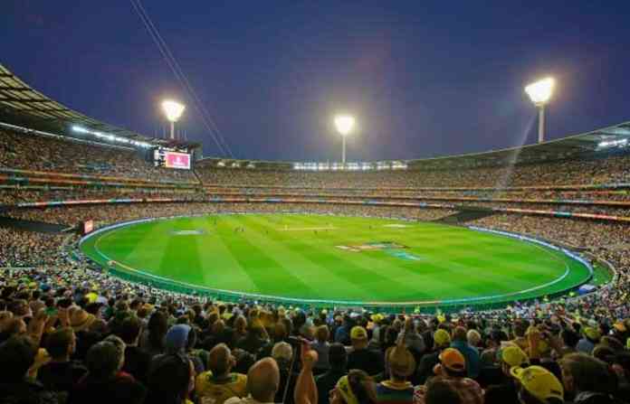 cricket