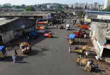 आडते असोसिएशनच्या मनमानीने तीन वर्षांत आडत्यांचा व्यवसाय रसातळाला; आडतदारांचा आरोप