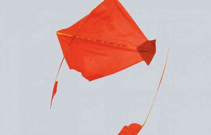 kite-murder