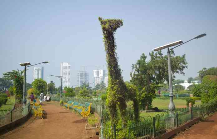 hanging-garden