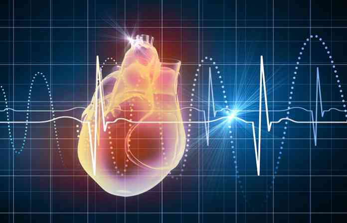 heartbeat