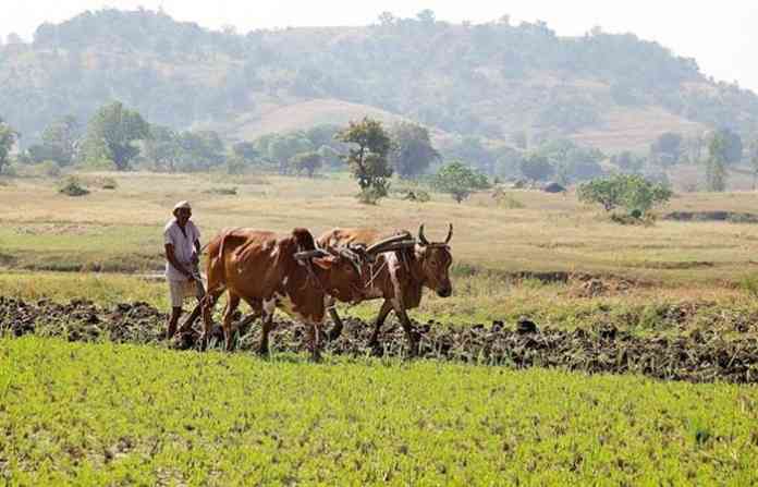 farmerss