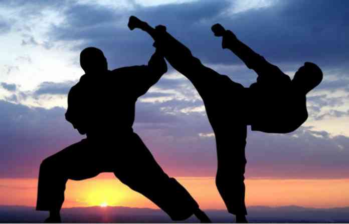 karate_04-1024x686-980x610