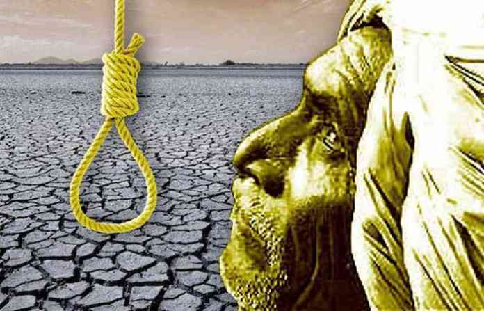 farmer_suicide