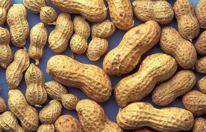 peanuts